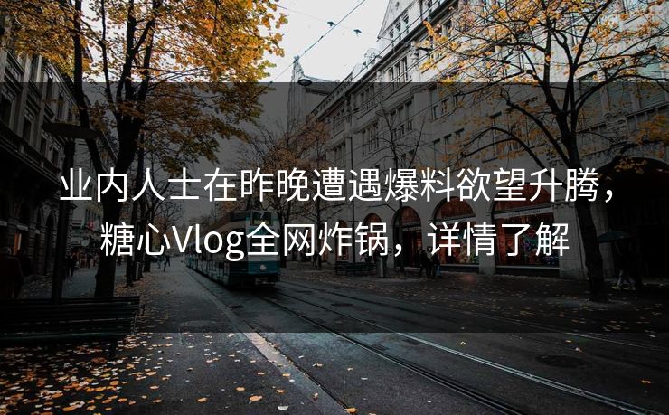 业内人士在昨晚遭遇爆料欲望升腾，糖心Vlog全网炸锅，详情了解